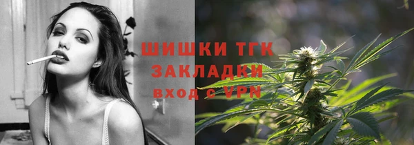 mdpv Инта
