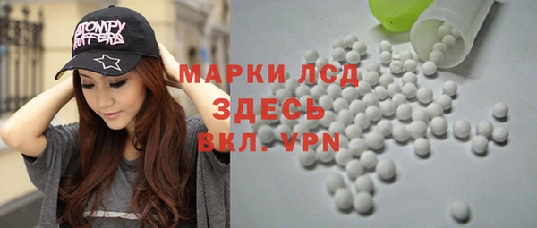 гашик Инсар