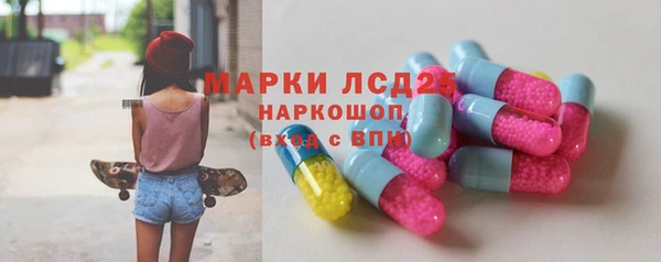 гашик Инсар