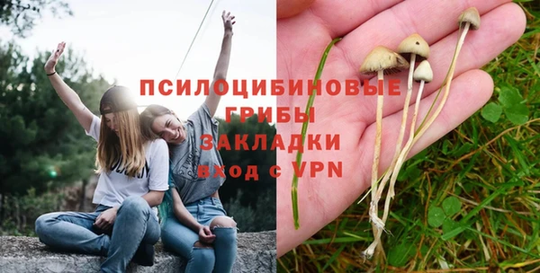 гашик Инсар