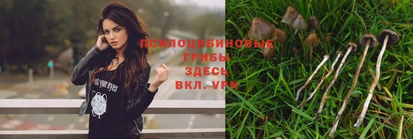 гашик Инсар